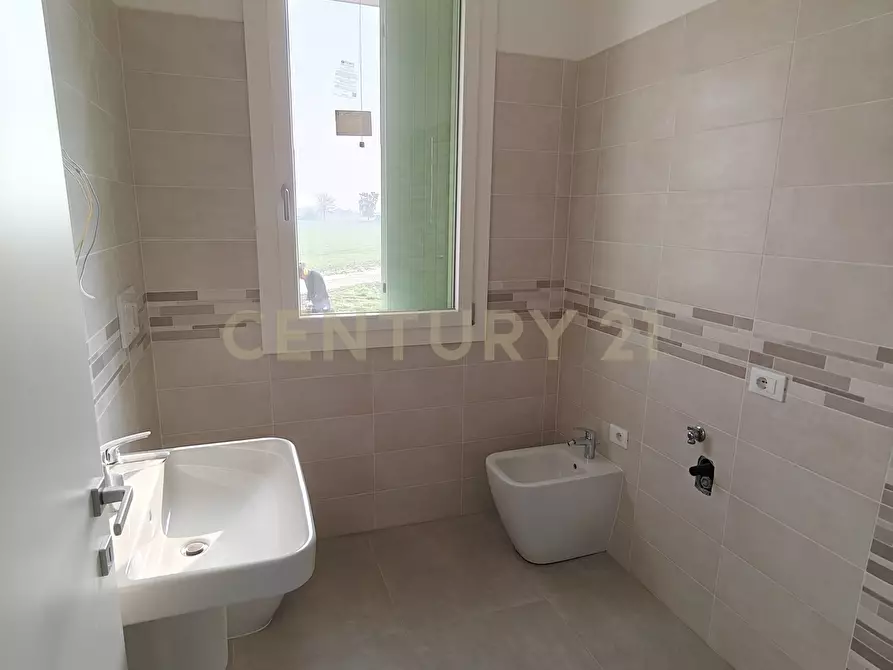 Immagine 9 di Trilocale in vendita  in Via Toffanelle Nuove snc a Zevio