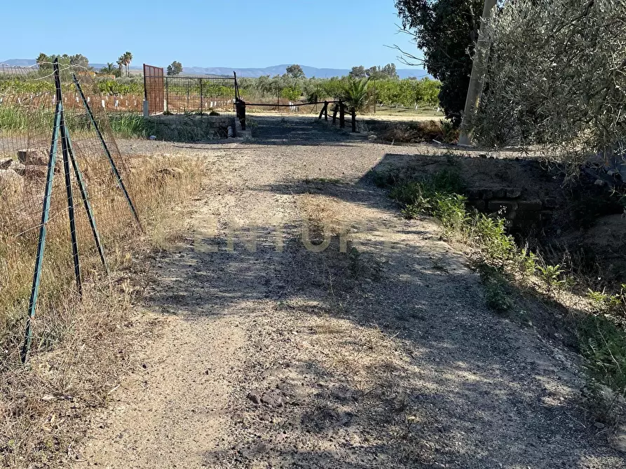 Immagine 18 di Terreno agricolo in vendita  in Strada Provinciale 104 snc a Lentini