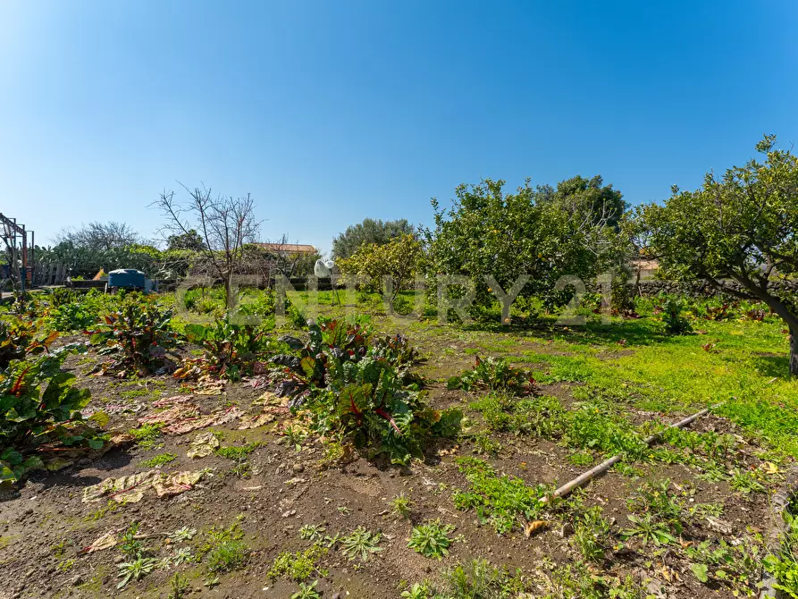 Immagine 10 di Villa in vendita  in Via Ramondetta 47 a Aci Sant'antonio