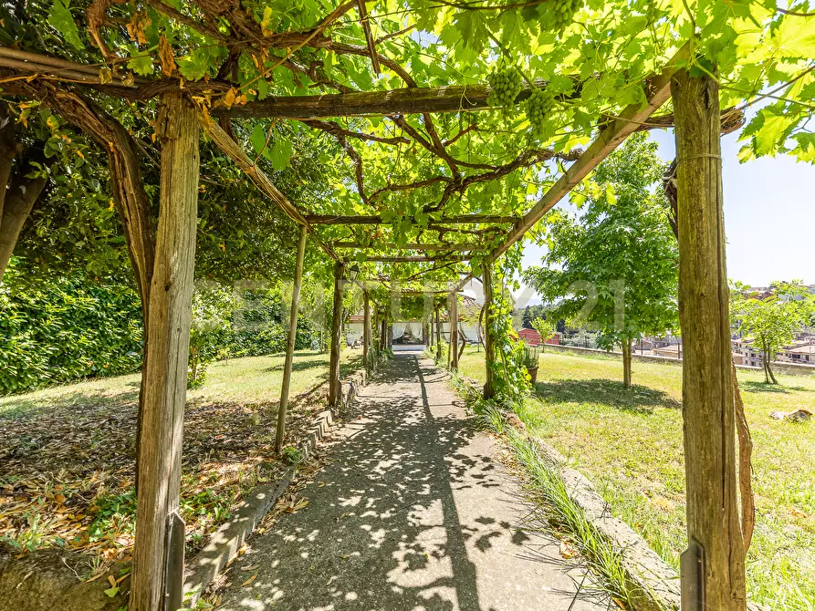 Immagine 6 di Villa in vendita  in Viale Giuseppe Mazzini 36 a Viterbo