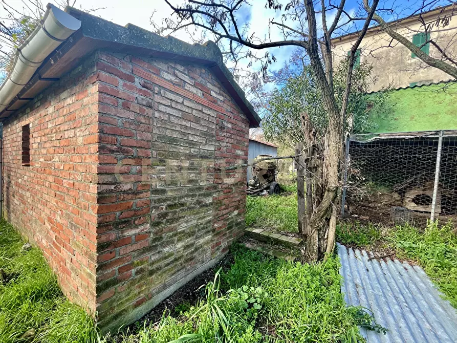 Immagine 9 di Pentalocale in vendita  in località casini a Scansano