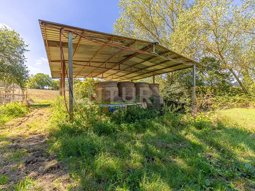 Immagine 25 di Rustico / casale in vendita  in località san quirichello a Barbarano Romano