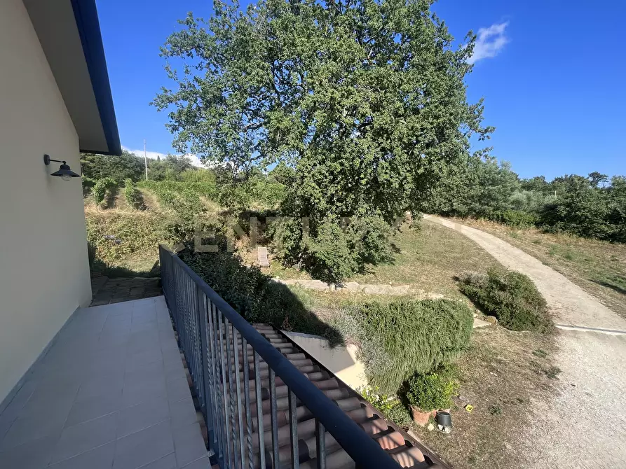 Immagine 5 di Azienda agricola in vendita  in Strada dei Sassi Bianchi a Manciano