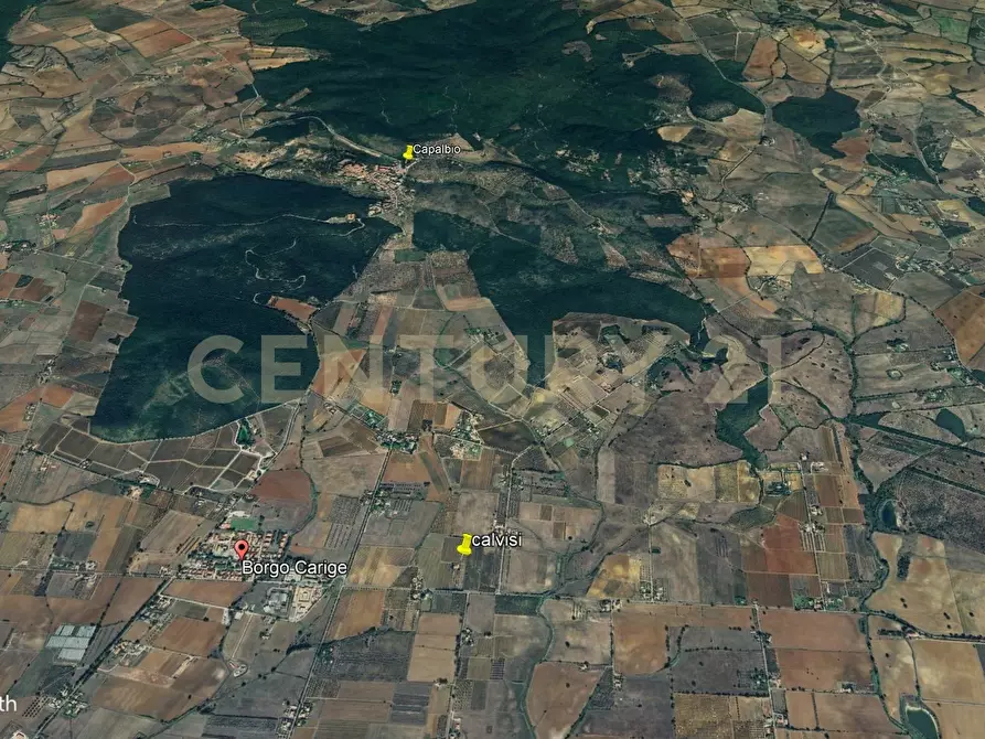 Immagine 10 di Rustico / casale in vendita  in Strada Pedemontana snc a Capalbio