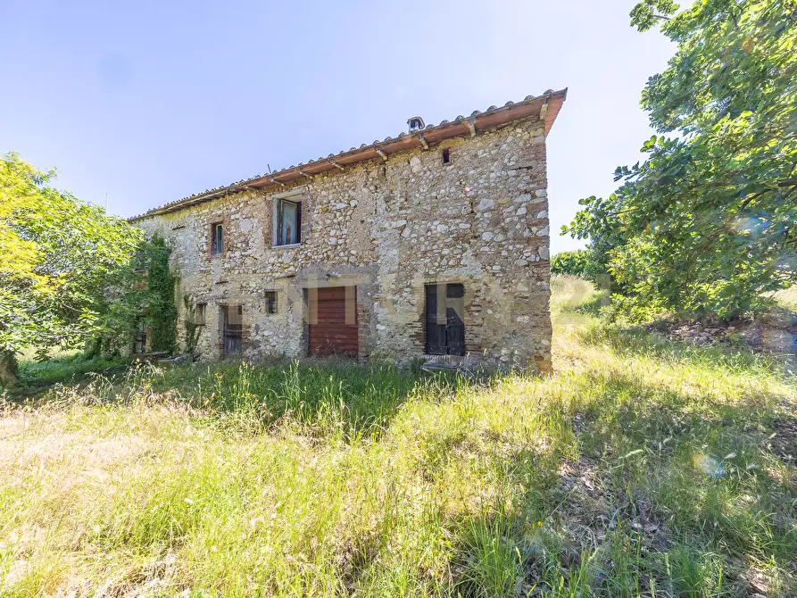 Immagine 19 di Rustico / casale in vendita  in Via Tiberina 384 a Narni