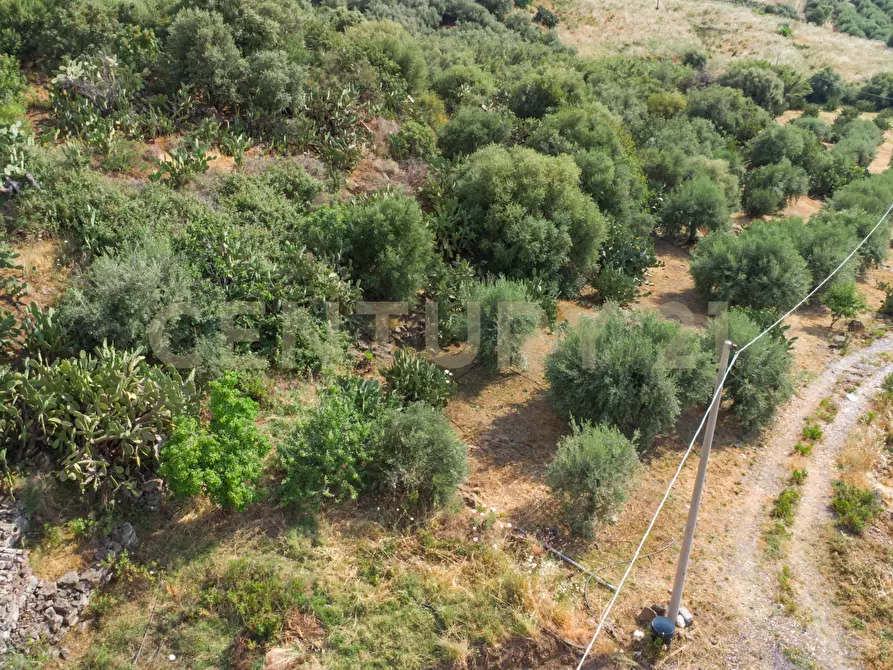 Immagine 18 di Terreno agricolo in vendita  in Via San Leo a Adrano