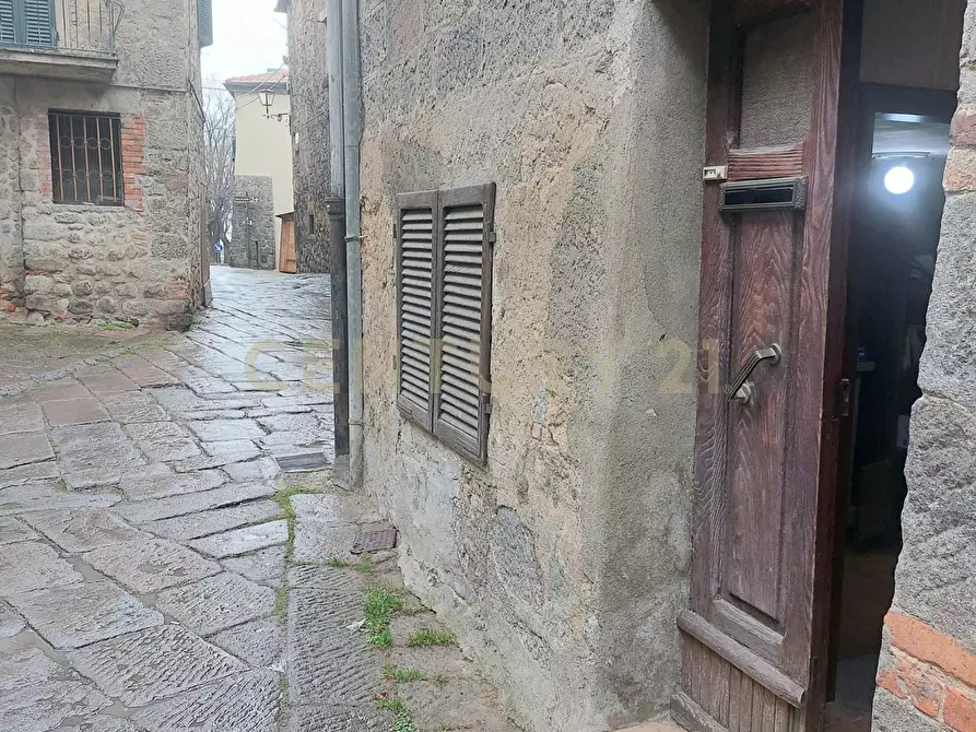 Immagine 11 di Terratetto in vendita  in Via Massimo D'Azeglio 20 a Abbadia San Salvatore