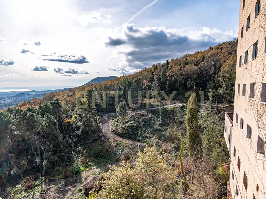 Immagine 10 di Capannone industriale in vendita  in Via Cassone 75 a Zafferana Etnea