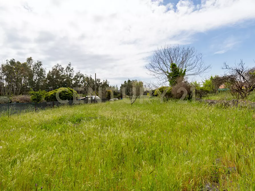 Immagine 32 di Terreno industriale in vendita  in Via dei Belfiore 4 a Valverde