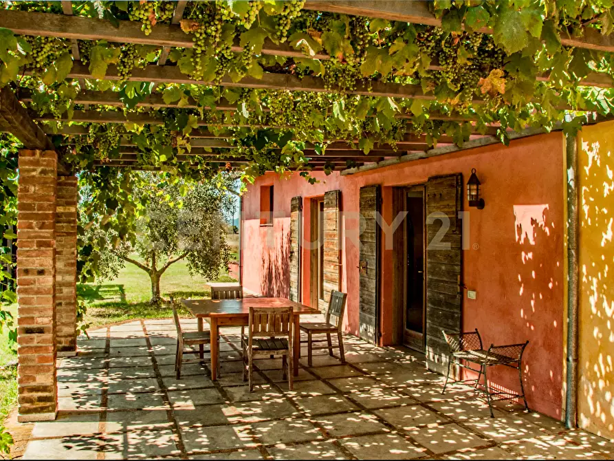 Immagine 13 di Rustico / casale in vendita  in località podere dogana a Roccastrada