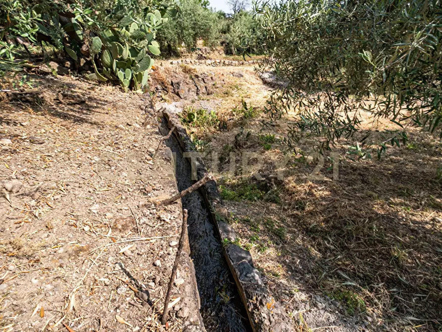 Immagine 49 di Terreno agricolo in vendita  in Via San Leo a Adrano