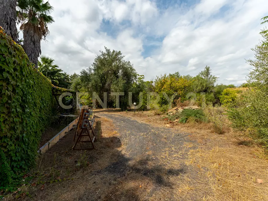 Immagine 17 di Villa in vendita  in Via Pulei 25 a Mascalucia
