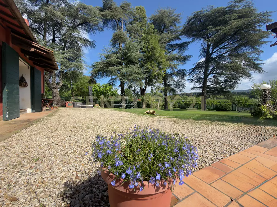 Immagine 9 di Casa indipendente in vendita  in Strada del quadrone 1 a Capranica