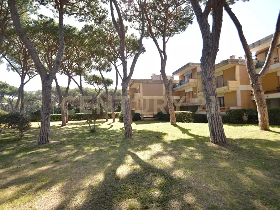 Immagine 11 di Quadrilocale in vendita  a Castiglione Della Pescaia