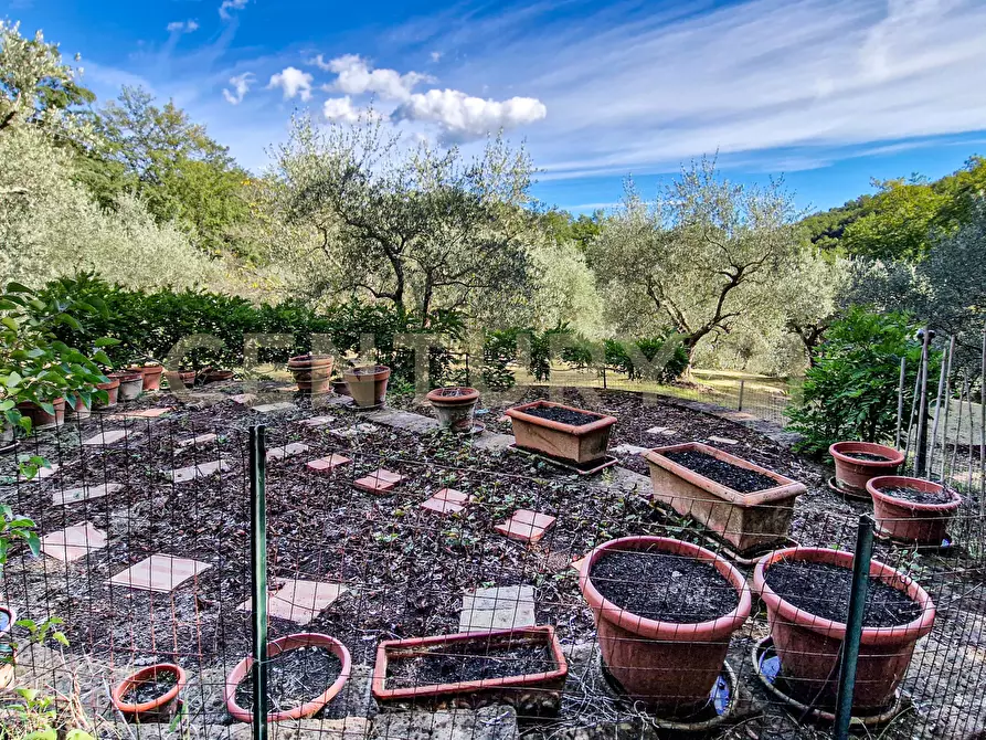 Immagine 17 di Casa indipendente in vendita  in Via della Mengona 32 a Roccastrada