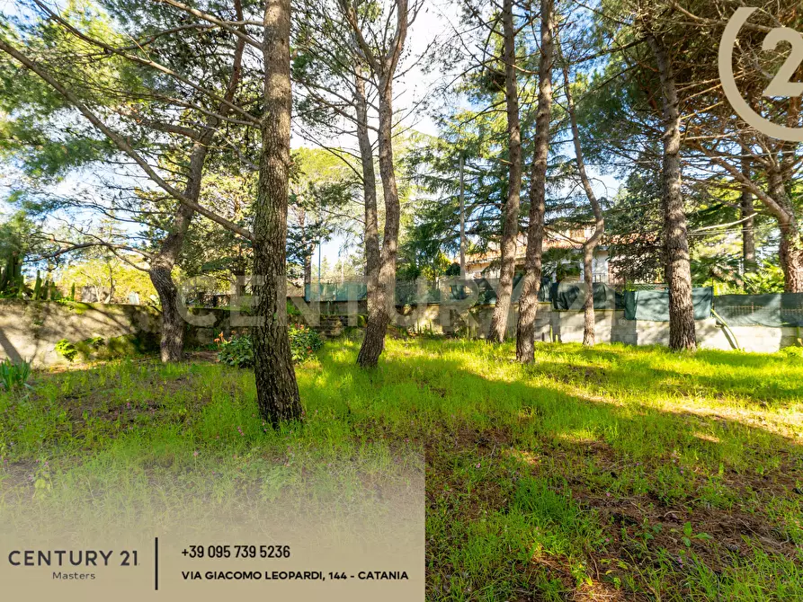 Immagine 44 di Villa in vendita  in Via Francesco Durante 11 a Pedara