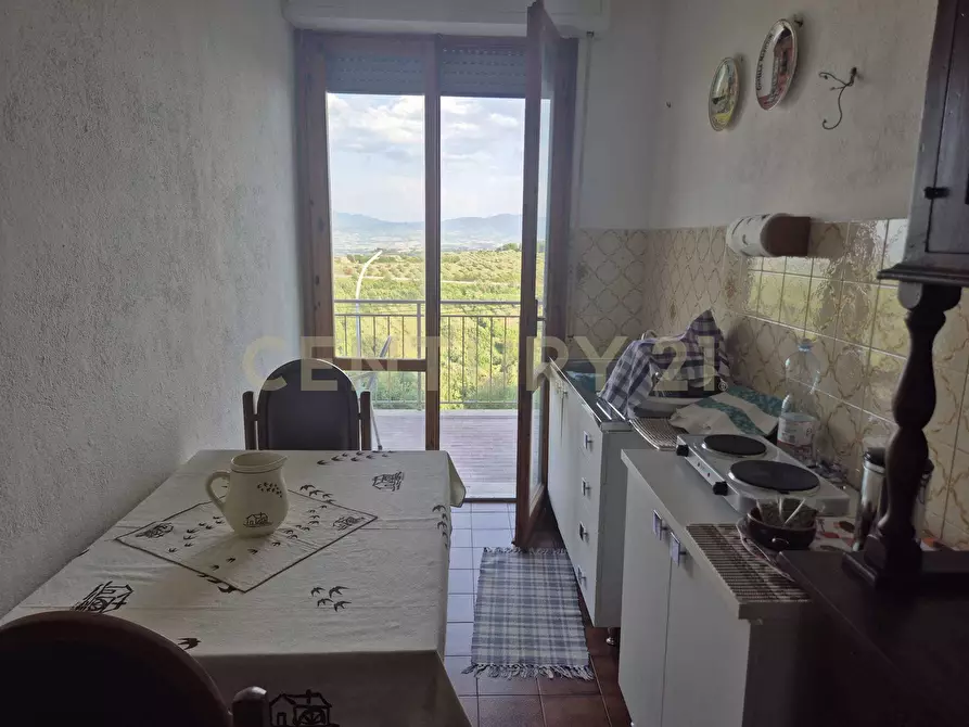 Immagine 5 di Quadrilocale in vendita  in Via degli Olivi 1 a Civitella Paganico
