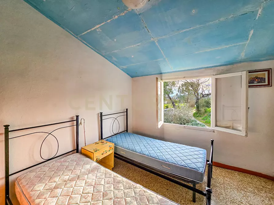 Immagine 21 di Terratetto in vendita  in Strada Interpoderale delle Baracche 5 a Civitella Paganico