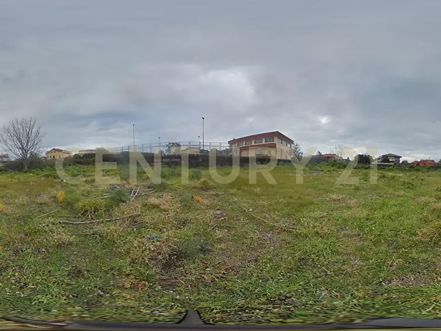 Immagine 25 di Terreno agricolo in affitto  in Via Dante Alighieri a San Gregorio Di Catania