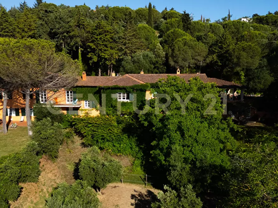 Immagine 4 di Rustico / casale in vendita  a Cinigiano