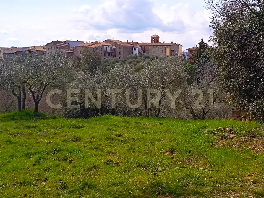 Immagine 16 di Pentalocale in vendita  in Frazione Cantone 11 a Parrano