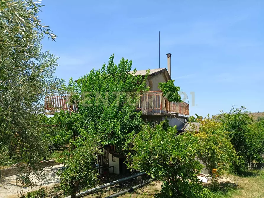 Immagine 1 di Terreno agricolo in vendita  in Contrada Agnelleria a Belpasso