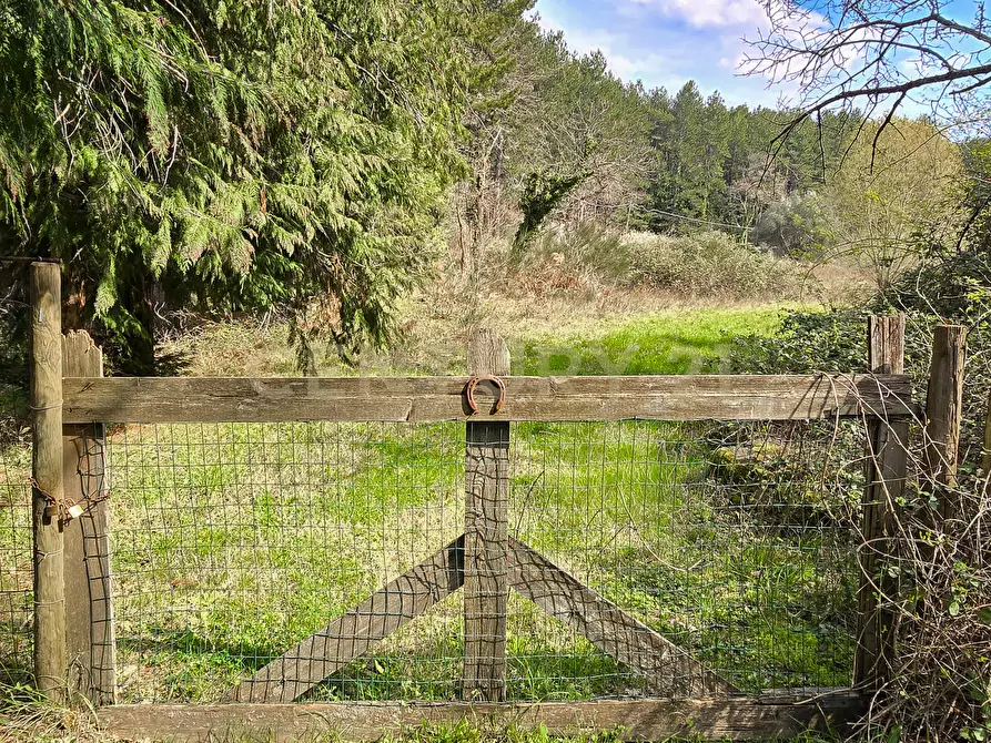 Immagine 17 di Rustico / casale in vendita  in Strada Provinciale 7 a Cinigiano