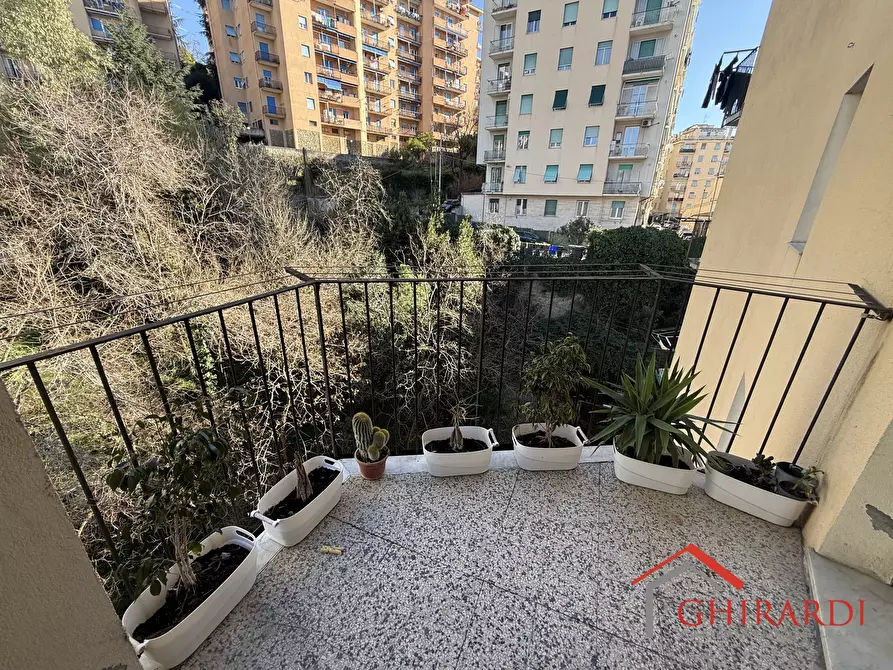 Immagine 24 di Trilocale in affitto  in VIA SANT'ELIA 41 a Genova