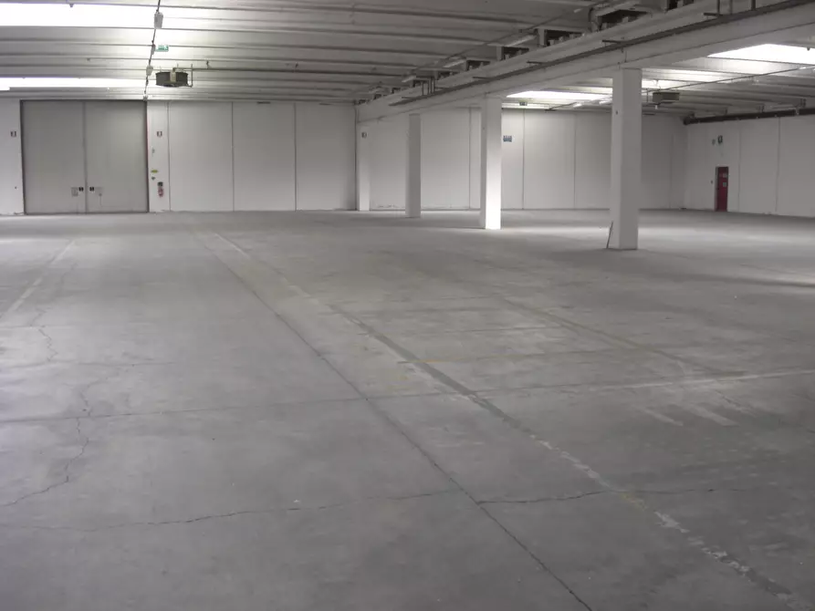 Immagine 9 di Attività artigianale in affitto  a Sorbolo Mezzani