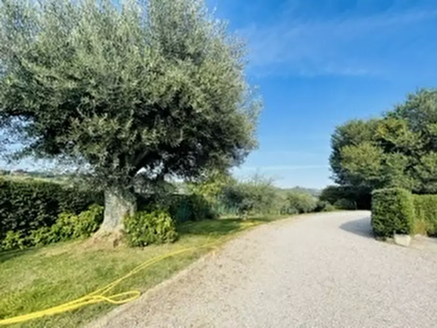 Immagine 18 di Rustico / casale in vendita  in via monte cerro a Offagna