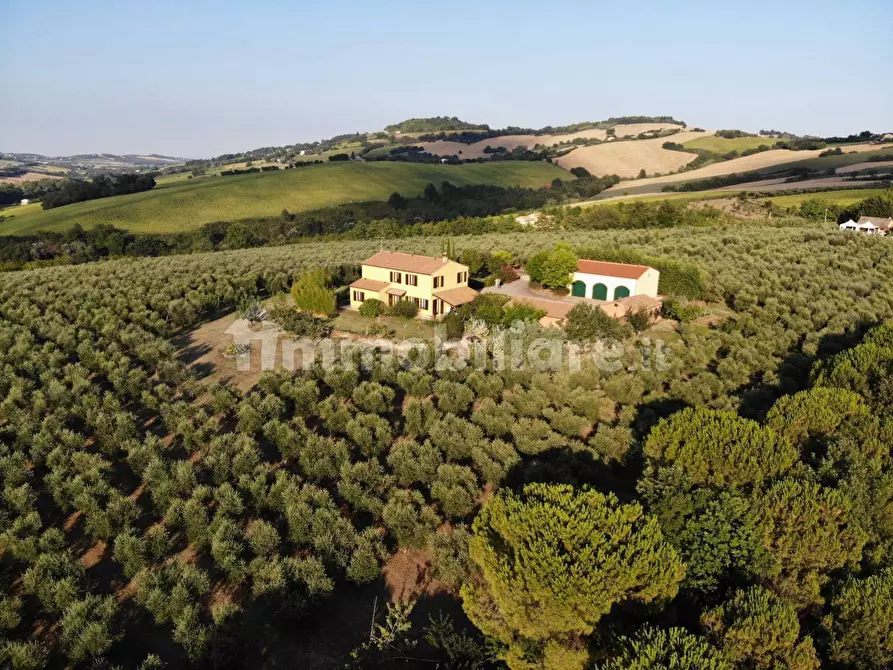 Immagine 14 di Rustico / casale in vendita  in morrovalle a Morrovalle