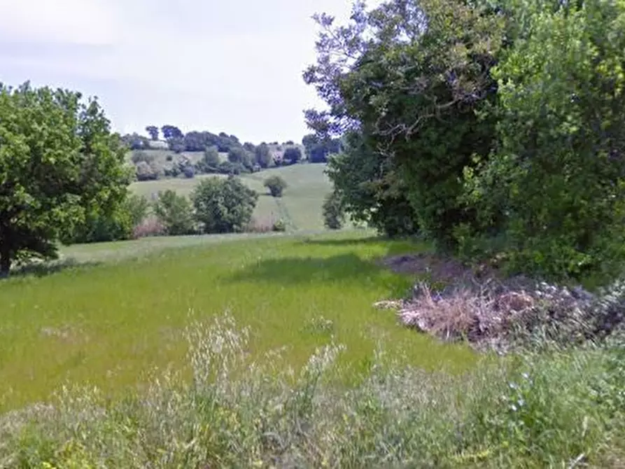 Immagine 1 di Terreno agricolo in vendita  in Via Inferno a Camerano