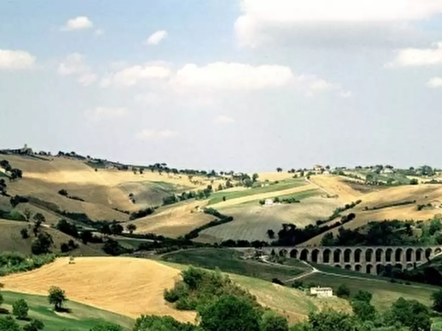 Immagine 28 di Villa in vendita  in VIA CHIARAVALLESE a Osimo