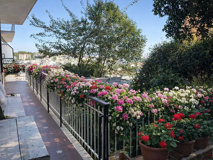 Immagine 6 di Trilocale in vendita  in Via Vittorio Veneto a Ancona