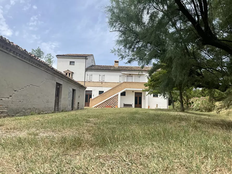 Immagine 7 di Rustico / casale in vendita  in Filottrano a Filottrano