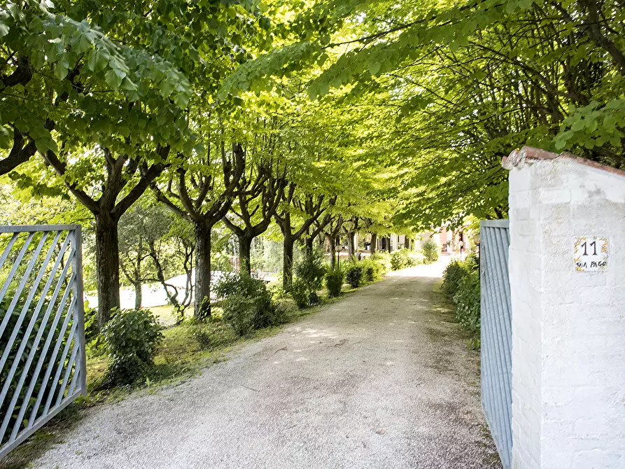 Immagine 23 di Rustico / casale in vendita  in OFFAGNA a Offagna