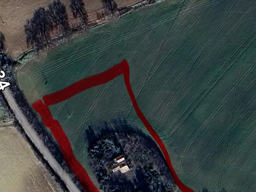 Immagine 2 di Rustico / casale in vendita  in contrada frasca a Agugliano