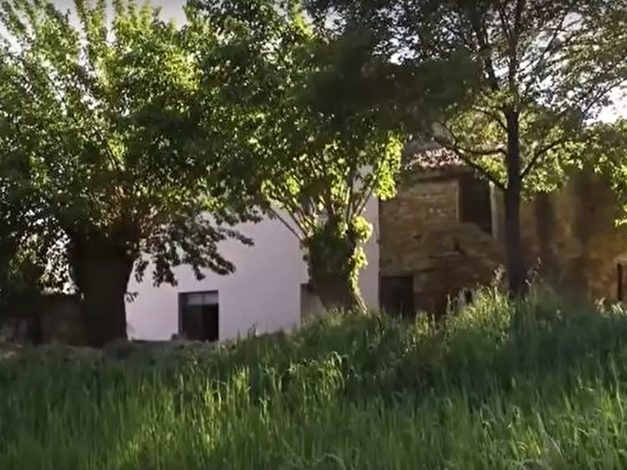 Immagine 13 di Rustico / casale in vendita  in CASTEL LEONE DI SUASA a Ostra Vetere
