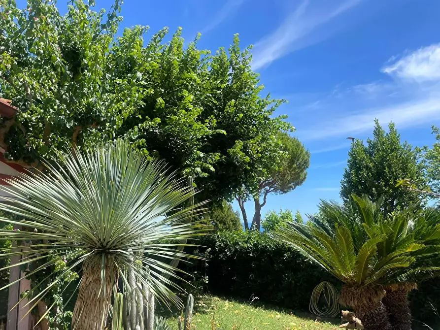 Immagine 6 di Villa in vendita  in Via del Taunus 33 a Ancona