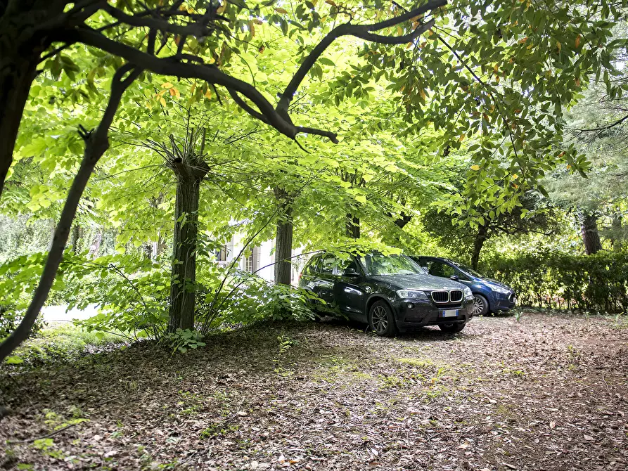 Immagine 46 di Rustico / casale in vendita  in OFFAGNA a Offagna