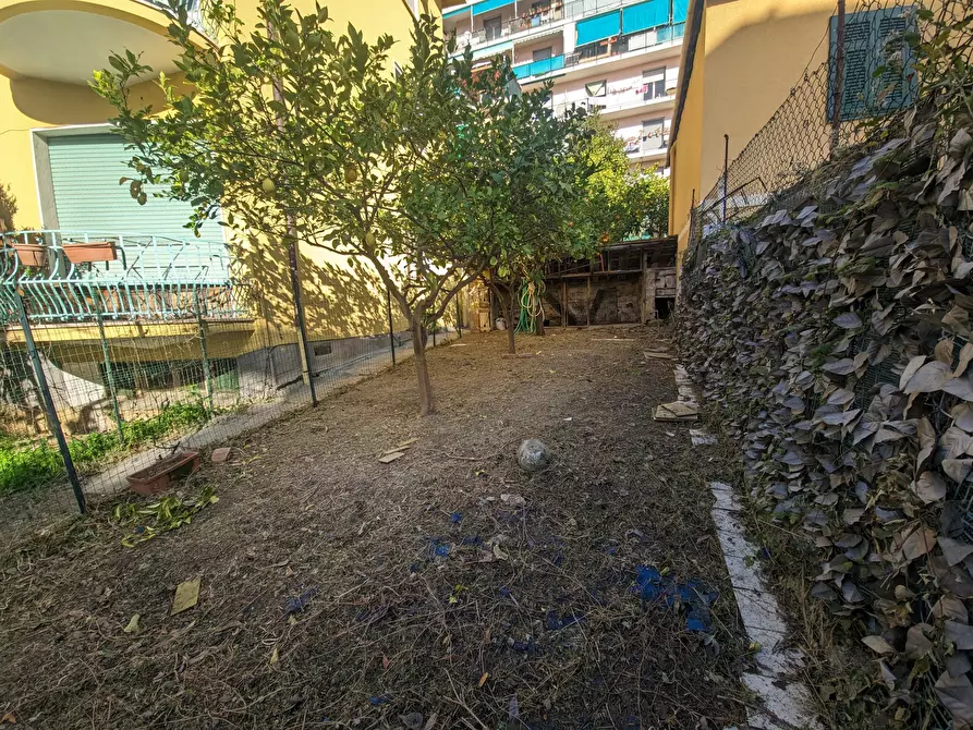 Immagine 17 di Quadrilocale in vendita  in Strada Collardente 6 a San Remo