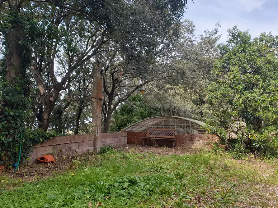 Immagine 4 di Rustico / casale in vendita  a Livorno