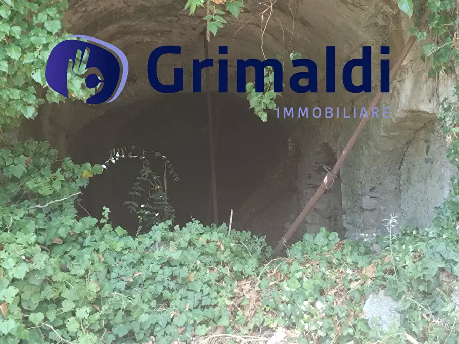 Immagine 7 di Terreno agricolo in vendita  in Corsa Regina Elena SNC a Barano D'ischia