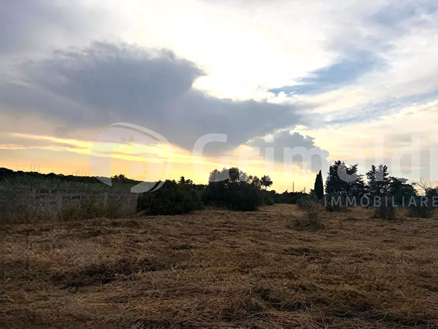 Immagine 11 di Terreno agricolo in vendita  in Strada Statale 274 a Gallipoli