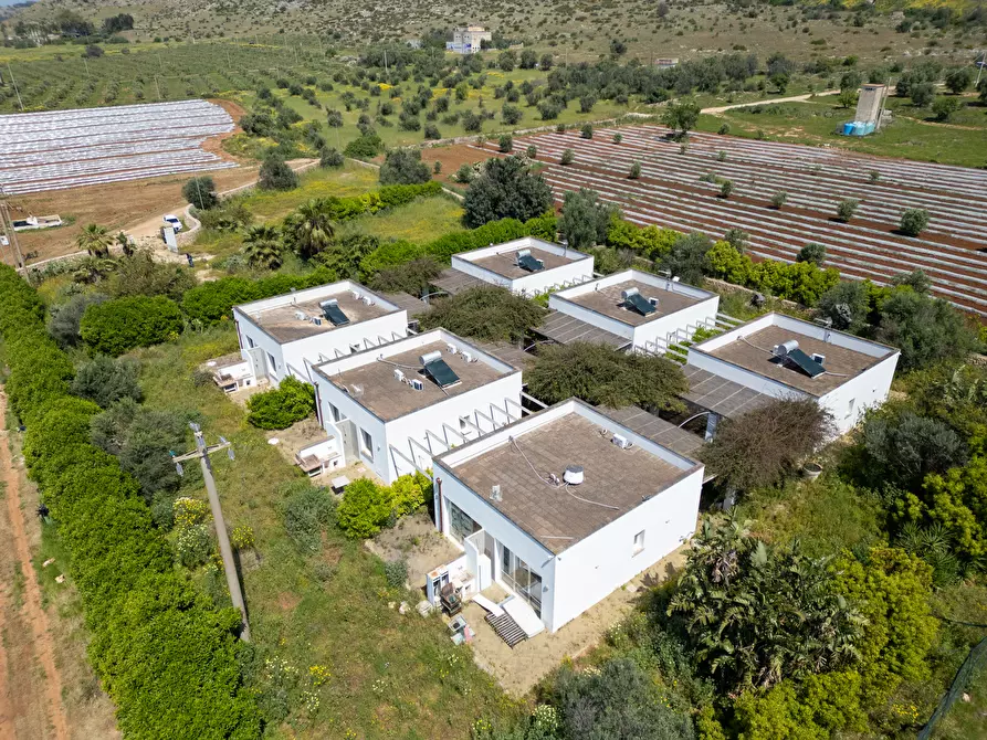 Immagine 1 di Casa indipendente in vendita  in Strada Provinciale 194 a Sannicola
