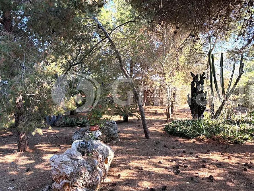 Immagine 11 di Casa indipendente in vendita  in Contrada Curlo a Sannicola
