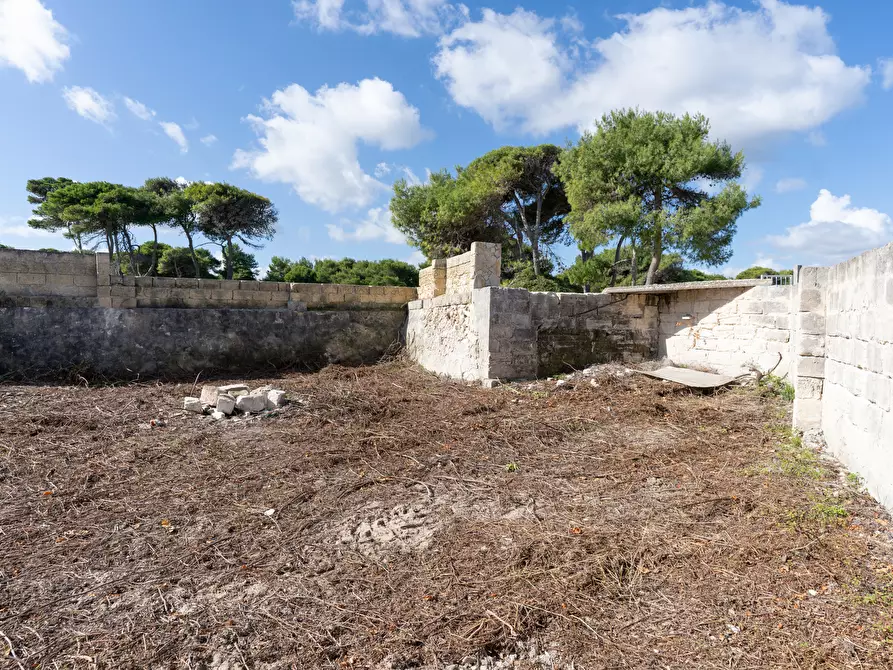 Immagine 43 di Villa in vendita  in SP366 9 a Melendugno