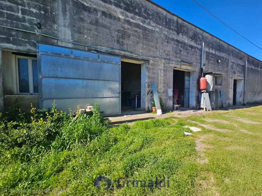 Immagine 3 di Magazzino in vendita  in Via Solano Li Belli 47 a Lequile