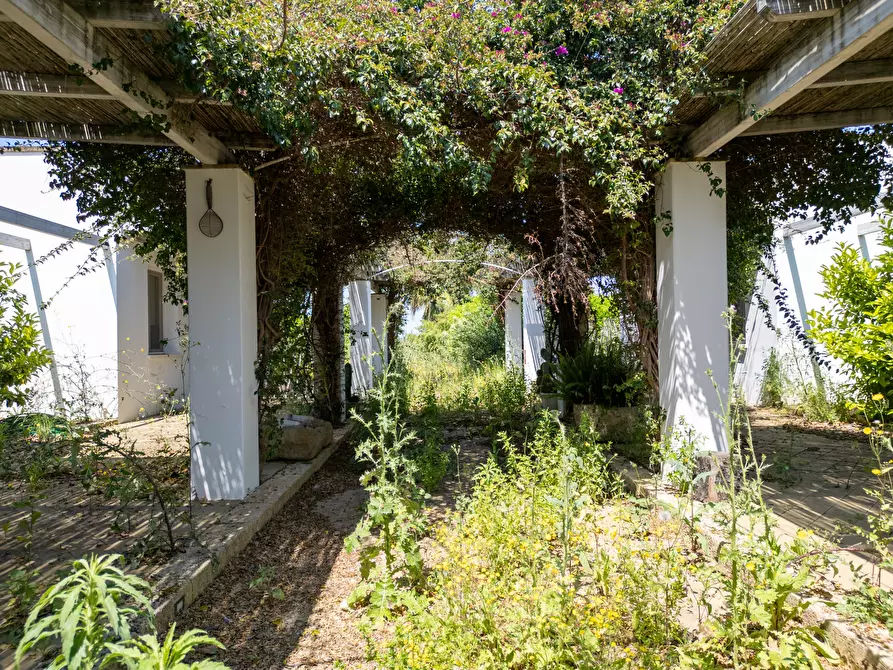 Immagine 53 di Casa indipendente in vendita  in Strada Provinciale 194 a Sannicola