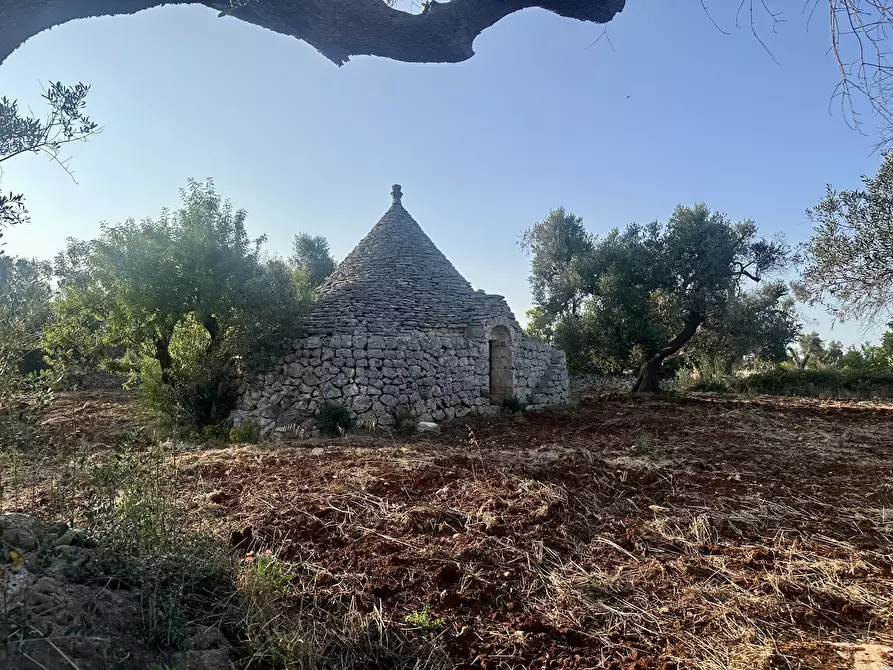 Immagine 8 di Terreno edificabile in vendita  a Ceglie Messapico